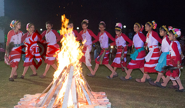 Welcome to The Jungle